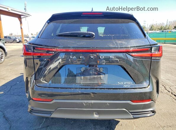 2T2ADCEZ2RC004633 2024 LEXUS NX Black Հետևի տեսք