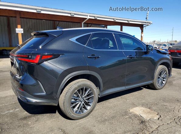2T2ADCEZ2RC004633 2024 LEXUS NX Black Հետևի աջ