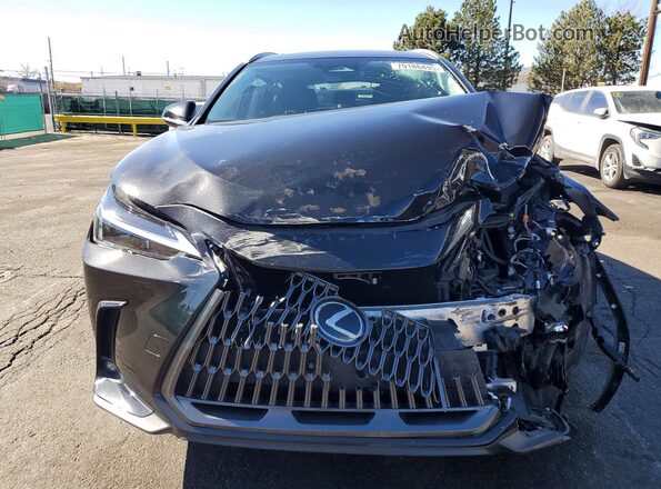 2T2ADCEZ2RC004633 2024 LEXUS NX Black Դիմացի տեսք