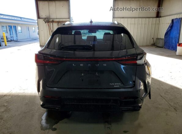 2T2AGCEZ3RC045375 2024 LEXUS NX Charcoal Вид ззаду