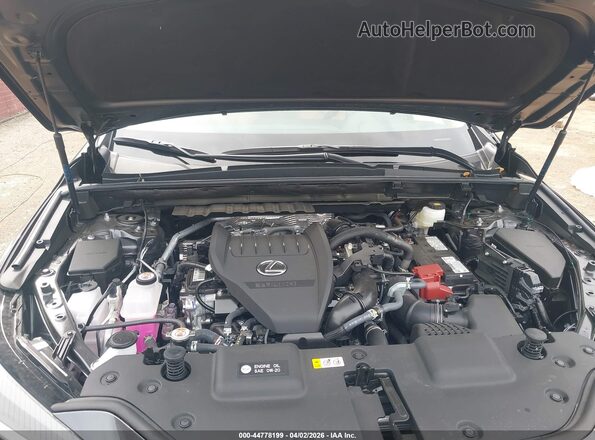 2T2AGCEZ4TC105378 2026 LEXUS NX 350 Gray Հետևի տեսք