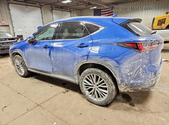 2T2AGCEZ5SC092350 2025 LEXUS NX Blue Задня ліва чверть