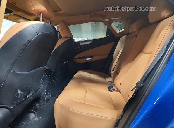 2T2AGCEZ5SC092350 2025 LEXUS NX Blue Вид задньої частини салону