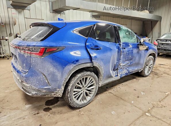 2T2AGCEZ5SC092350 2025 LEXUS NX Blue Задня права чверть