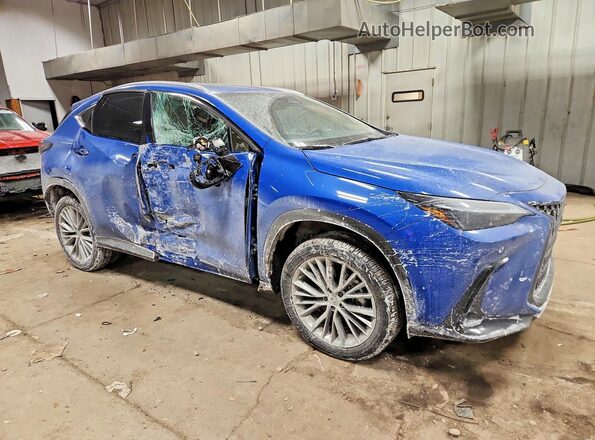 2T2AGCEZ5SC092350 2025 LEXUS NX Blue Передня права чверть