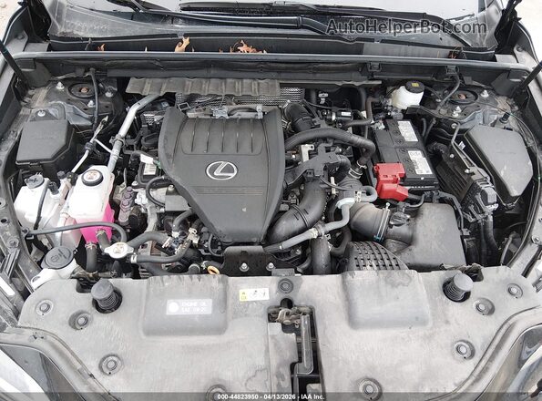 2T2AGCEZ8SC067409 2025 LEXUS NX 350 Black Вид ззаду