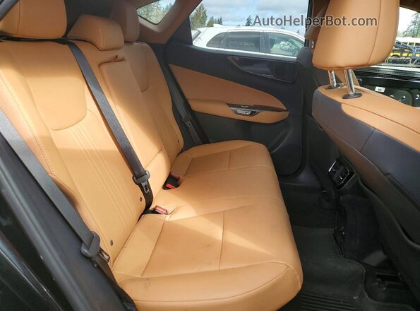 2T2AKCEZ5PC009778 2023 LEXUS NX Black უკანა სალონის ხედი