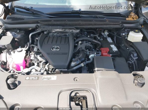 2T2BAMBA8SC066979 2025 LEXUS RX 350 Gray Vista trasera