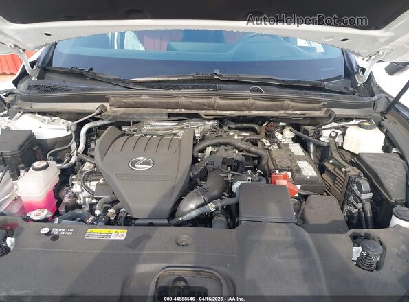 2T2BAMCA0RC040899 2024 LEXUS RX 350 White Widok z tyłu