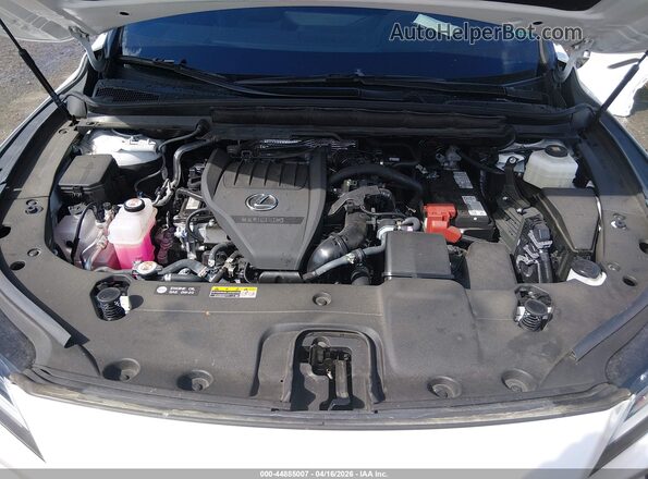2T2BAMCA2SC091973 2025 LEXUS RX 350 White Rear view