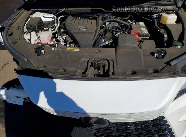 2T2BAMCA4RC040422 2024 LEXUS RX White Rear interior view