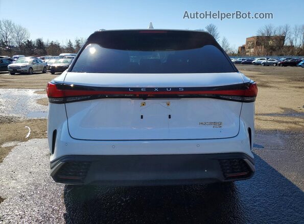 2T2BAMCA4RC040422 2024 LEXUS RX White Rear view