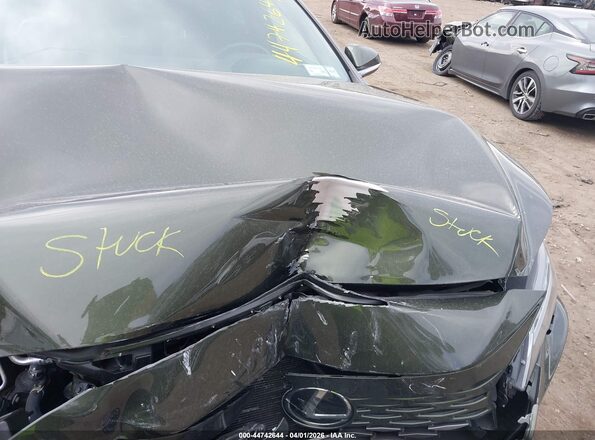 2T2BAMCA5RC067063 2024 LEXUS RX 350 Green უკანა ხედი