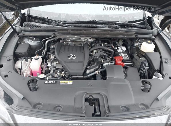 2T2BAMCA6PC009055 2023 LEXUS RX 350 Gray უკანა ხედი