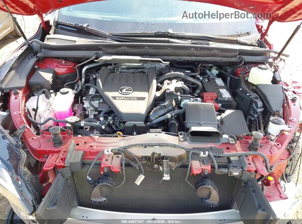 2T2BAMCA7TC133099 2026 LEXUS RX 350 Красный Вид сзади
