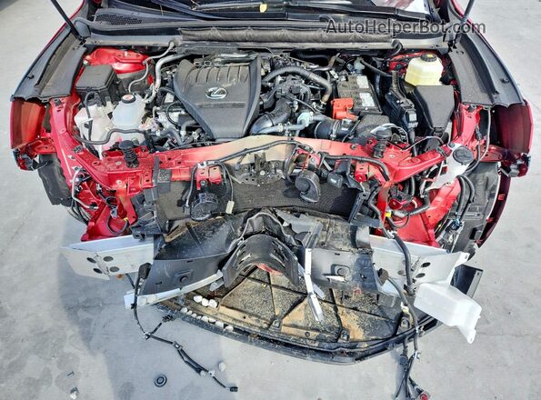 2T2BAMCA8TC129398 2026 LEXUS RX Red Вид задньої частини салону