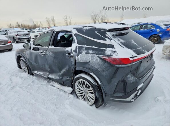 2T2BAMCA9RC085551 2024 LEXUS RX Blue 