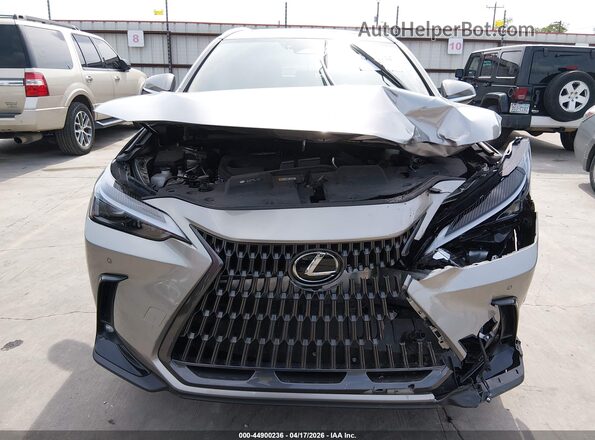 2T2GDCAZ3SC020765 2025 LEXUS NX 250 Silver 