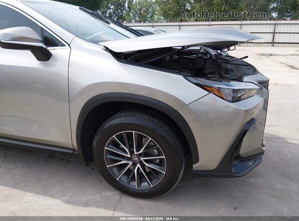 2T2GDCAZ3SC020765 2025 LEXUS NX 250 Silver 