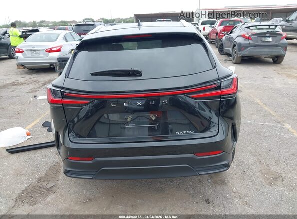 2T2GDCAZ3SC024699 2025 LEXUS NX 250 Black 