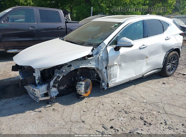 2T2GDCAZ3SC026405 2025 LEXUS NX 250 White Вид спереду