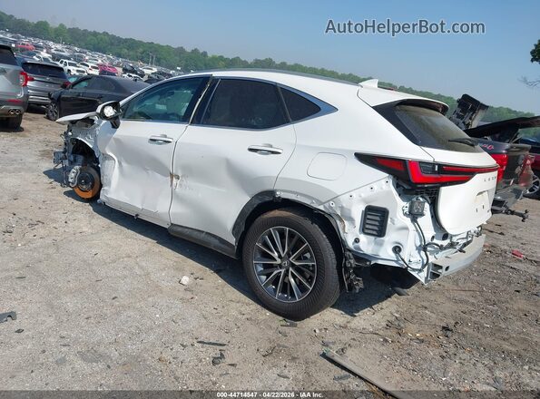 2T2GDCAZ3SC026405 2025 LEXUS NX 250 White Задня ліва чверть
