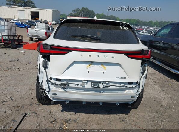 2T2GDCAZ3SC026405 2025 LEXUS NX 250 White 