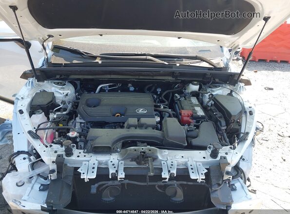 2T2GDCAZ3SC026405 2025 LEXUS NX 250 White Вид ззаду