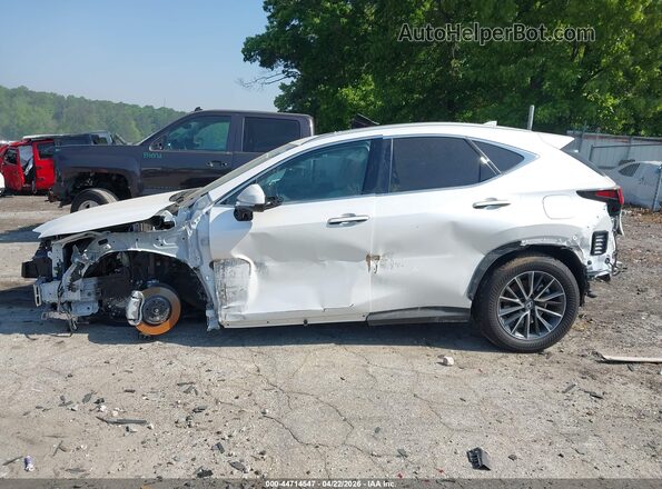 2T2GDCAZ3SC026405 2025 LEXUS NX 250 White 