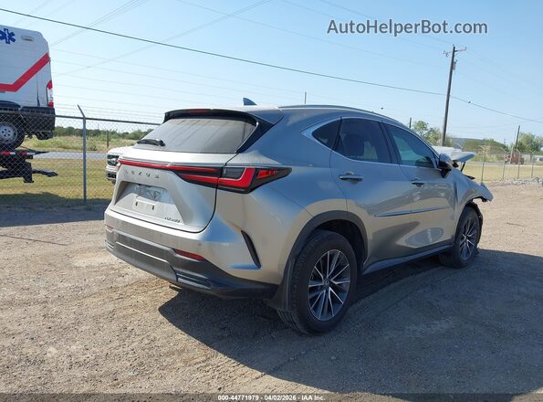 2T2GDCAZ4RC007176 2024 LEXUS NX 250 Gray Trasero derecho