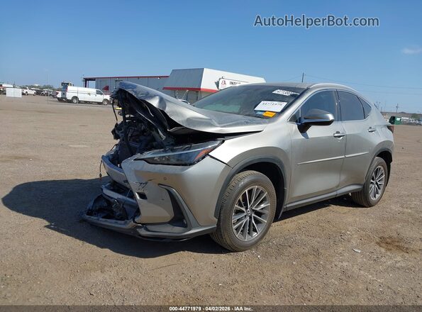 2T2GDCAZ4RC007176 2024 LEXUS NX 250 Gray Vista tres cuartos delantera izquierda