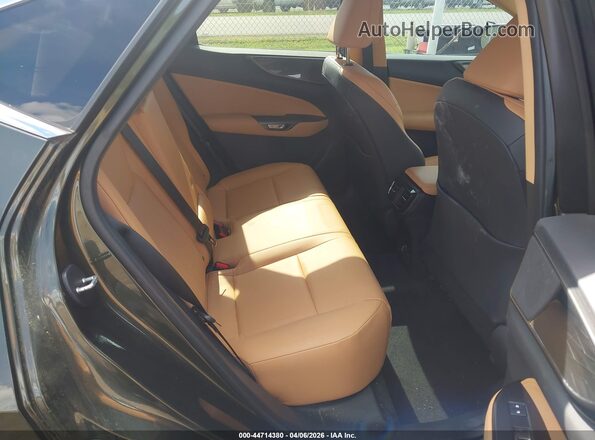 2T2GDCAZ6RC015070 2024 LEXUS NX 250 Green Vista de la etiqueta del VIN