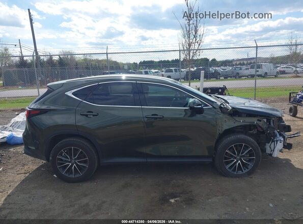 2T2GDCAZ6RC015070 2024 LEXUS NX 250 Green Vista interior de 360 grados
