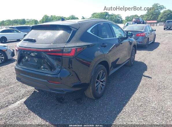 2T2GDCAZ7SC024222 2025 LEXUS NX 250 Black Հետևի աջ