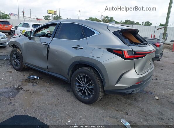 2T2GDCAZ8RC015524 2024 LEXUS NX 250 Tan Trasero izquierdo