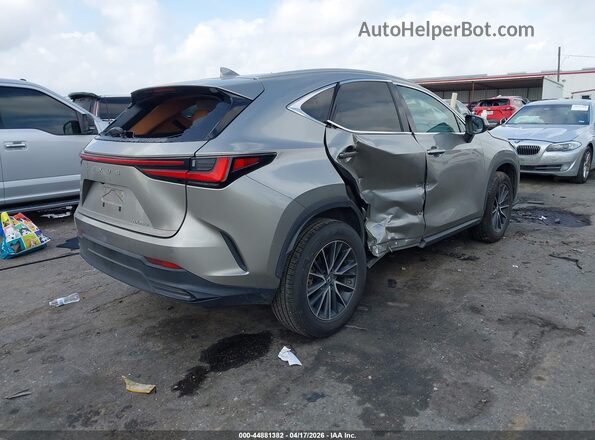 2T2GDCAZ8RC015524 2024 LEXUS NX 250 Tan Trasero derecho