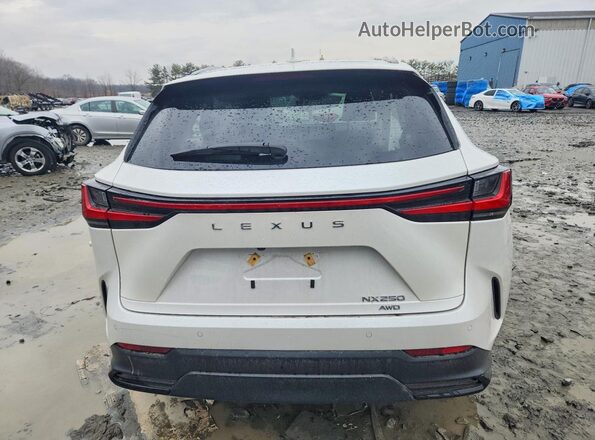 2T2GDCEZ2SC005748 2025 LEXUS NX White Widok z tyłu