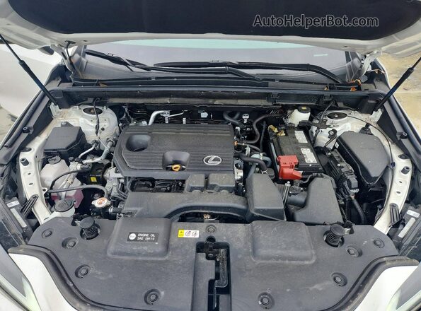 2T2GDCEZ2SC005748 2025 LEXUS NX White Widok komory silnika