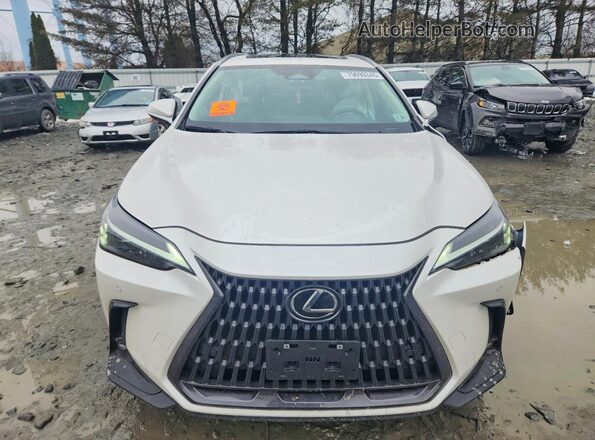 2T2GDCEZ2SC005748 2025 LEXUS NX White Widok z przodu