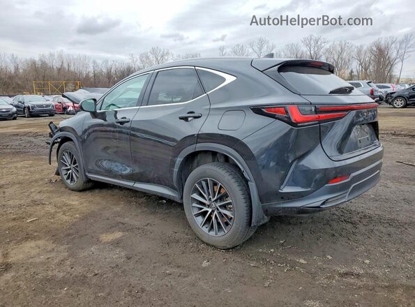 2T2GGCEZ0PC028105 2023 LEXUS NX Black Trasero izquierdo