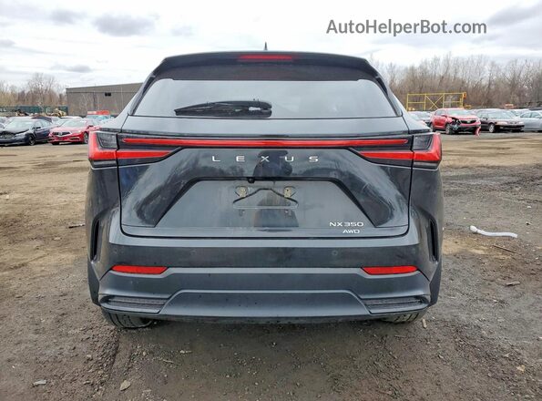 2T2GGCEZ0PC028105 2023 LEXUS NX Black Vista trasera