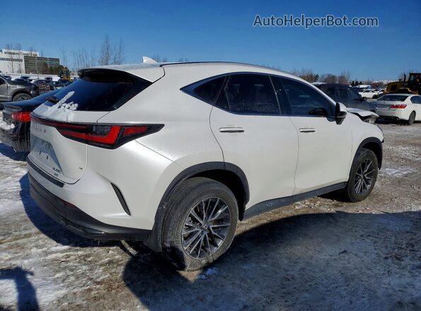 2T2GGCEZ2RC035611 2024 LEXUS NX White Задня права чверть