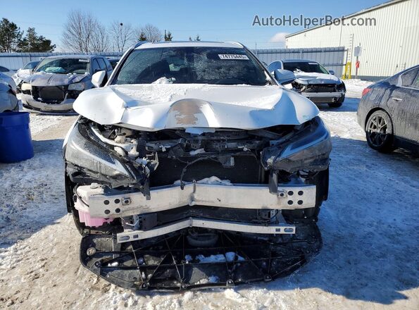 2T2GGCEZ2RC035611 2024 LEXUS NX White Вид спереду