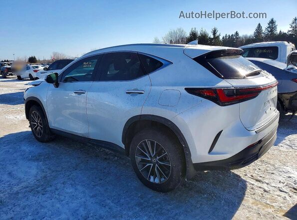 2T2GGCEZ2RC035611 2024 LEXUS NX White Задня ліва чверть