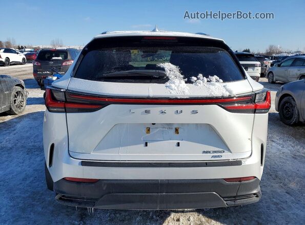 2T2GGCEZ2RC035611 2024 LEXUS NX White Вид ззаду