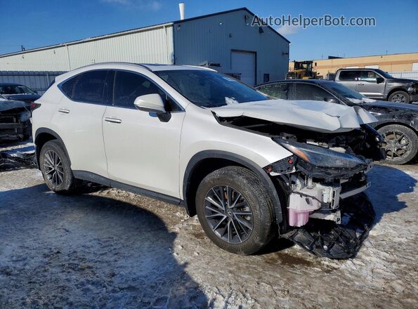 2T2GGCEZ2RC035611 2024 LEXUS NX White Передня права чверть