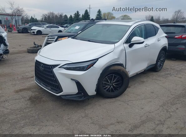 2T2GGCEZ2SC062734 2025 LEXUS NX 350 White Przód lewy
