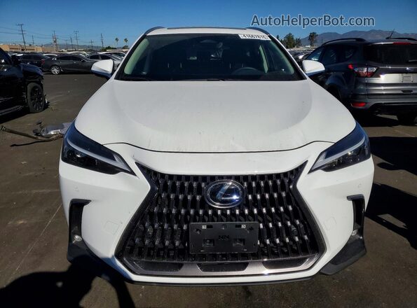 2T2GGCEZ5TC102144 2026 LEXUS NX White Вид спереду