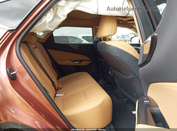 2T2GGCEZ6TC108079 2026 LEXUS NX 350 Champagne Vista de la etiqueta del VIN