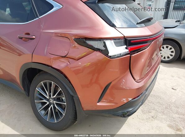 2T2GGCEZ6TC108079 2026 LEXUS NX 350 Champagne Vista frontal